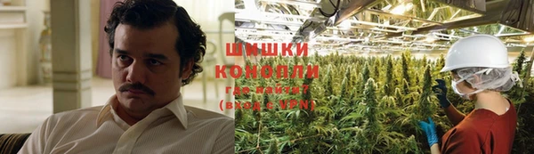 дурь Алексеевка