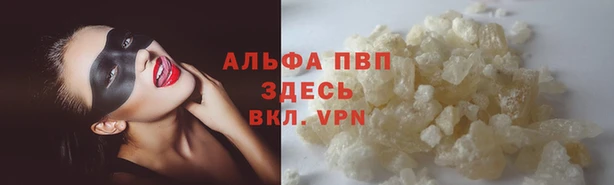 сатива Алзамай