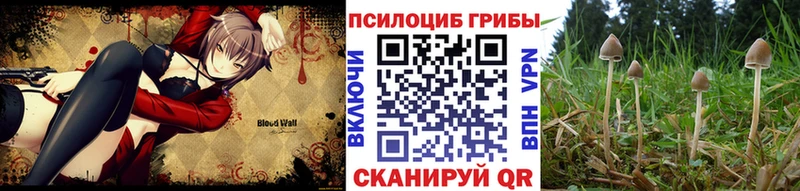 Псилоцибиновые грибы Cubensis  Сыктывкар 