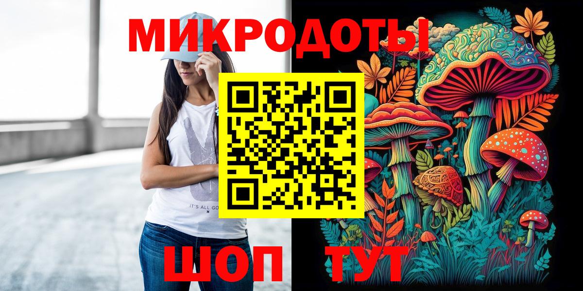 Псилоцибиновые грибы Psilocybe Сыктывкар