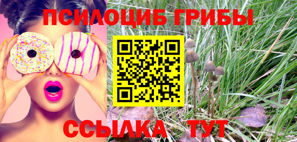 Галлюциногенные грибы ЛСД  Галлюциногенные грибы MAGIC MUSHROOMS  Сыктывкар  Вход с VPN 
